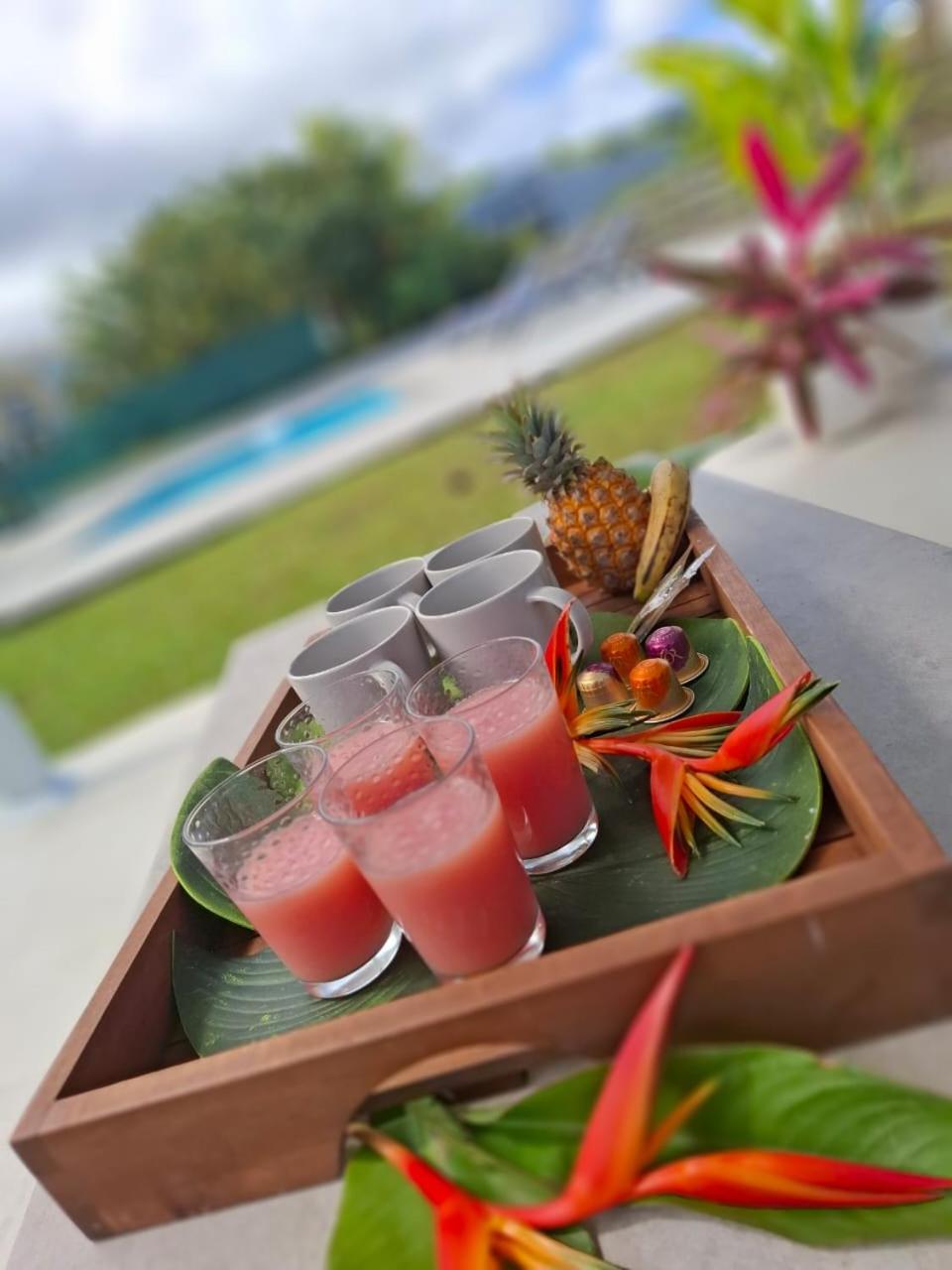 Villa Oneway, Piscine Privee, Classee 3 Etoiles Sainte-Rose Exteriör bild